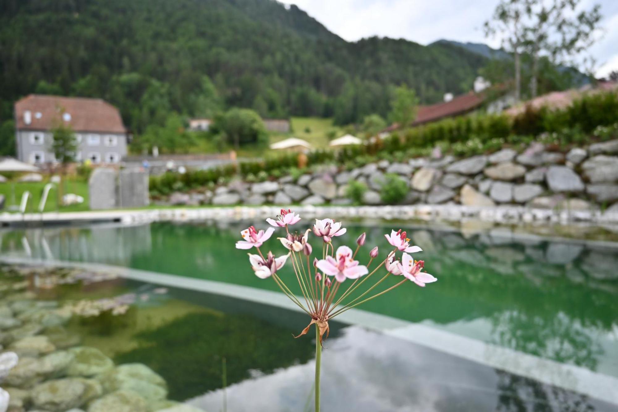 Tilia Living - B&B Mit Dem Komfort Eines Kleinen, Feinen Hotels Ried im Oberinntal Kültér fotó